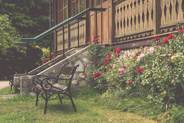 激发了许多 激发了许多