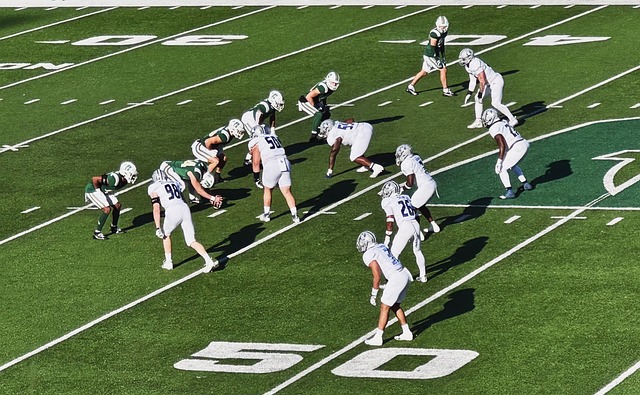 好者的关注 好者的关注