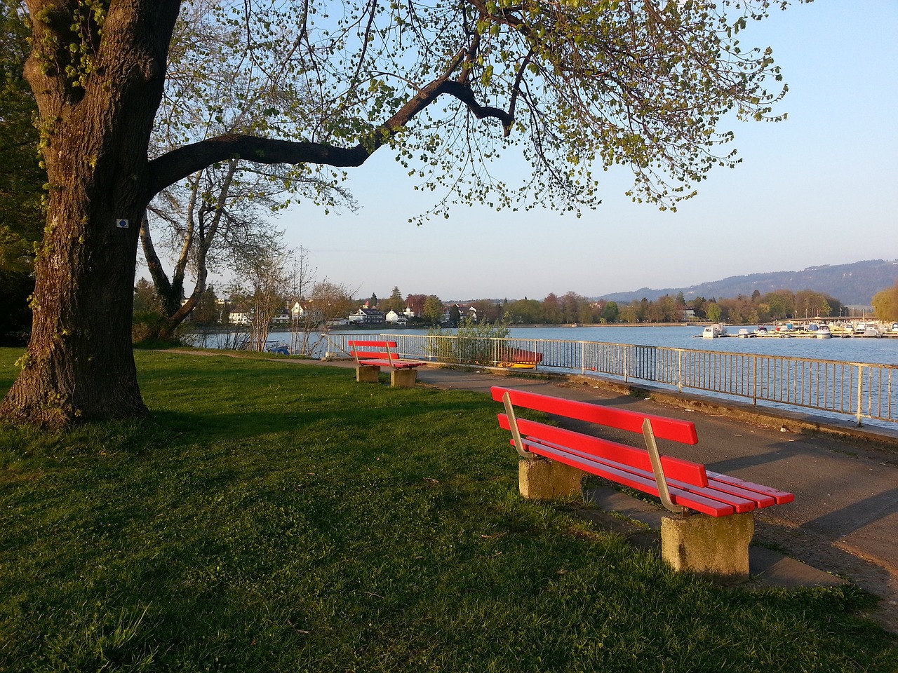 际游客奠定 际游客奠定