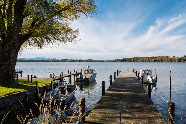 超凡的得分 超凡的得分